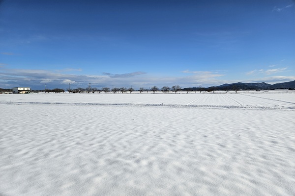 雪原（滋賀）